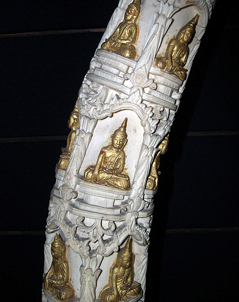 Buddha royal carved tusks