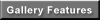Gallery Features