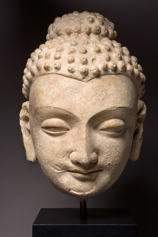 Head of the Buddha
