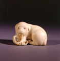 An ivory netsuke depicting a seated puppy chewing a straw sandal