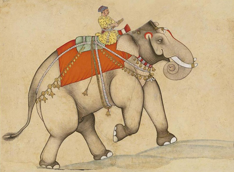Lively Elephant and Rider