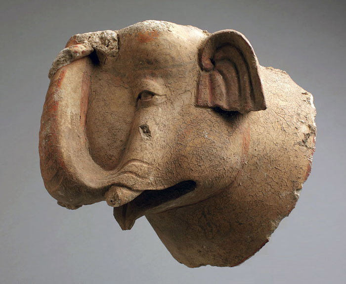 Elephant's Head
