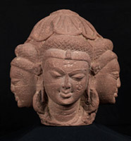 Four Head Brahma