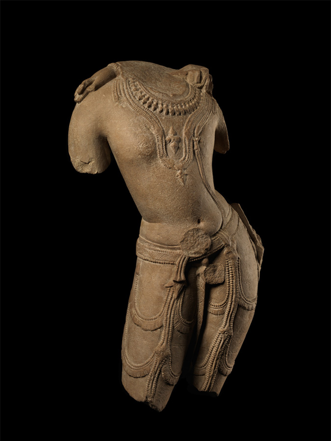 Male Torso