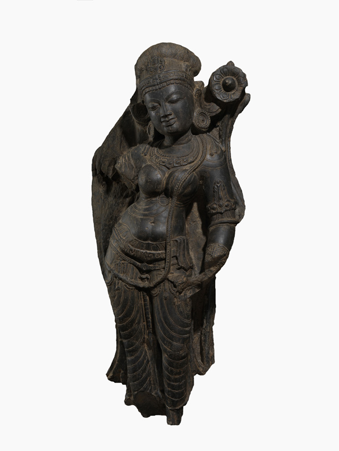 Tara