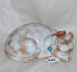 Sleeping cat