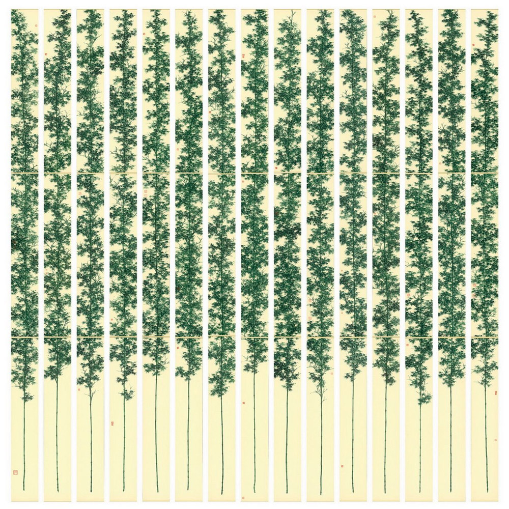 Bamboo in Solitude