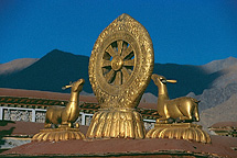 The Wheel of Dharma