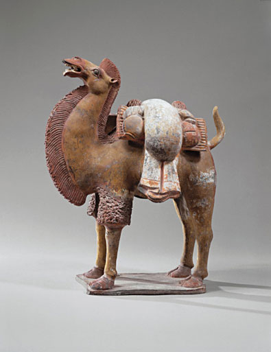Standing, Braying Camel with Brushed Mane, Its Back Laden with Goods
