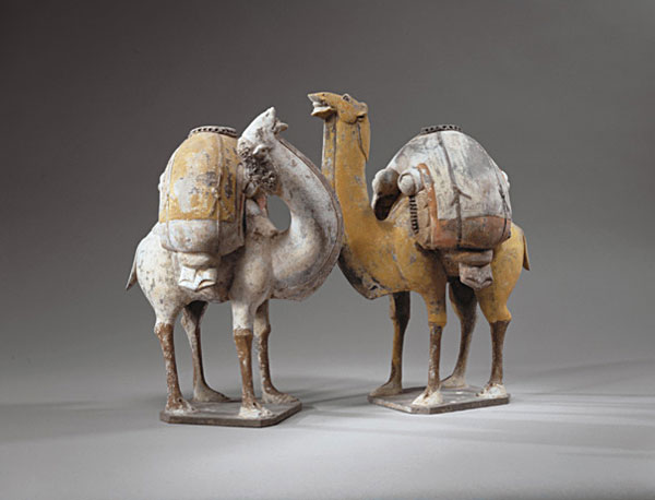 Two Standing, Braying Camels, One Buff, One White, Their Backs Laden with Goods