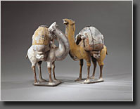 Two Standing, Braying Camels