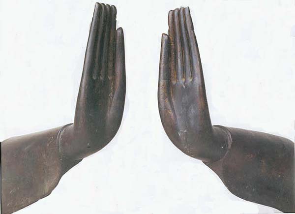 Buddha Hands forming Abhayamudra