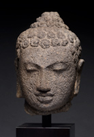 Head of a Cosmic Buddha